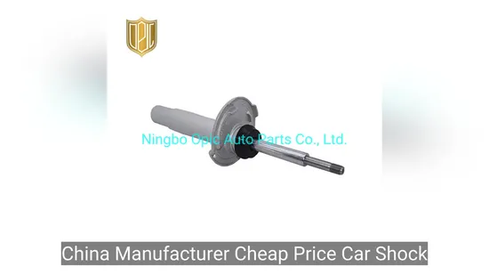 China Manufacturer Cheap Price Car Shock Absorber 31316786540 for BMW 7 