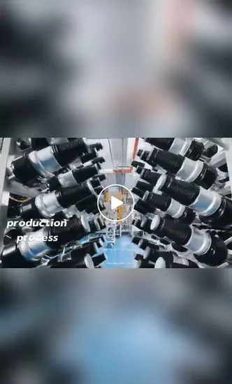 Auto Spare Part for Audi A6/C6 4fo616040AA Front Right Air Suspension Shock Absorber 