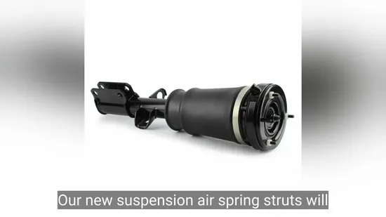 Premium Front Air Suspension Shock Absorber for BMW X5 Suvs 